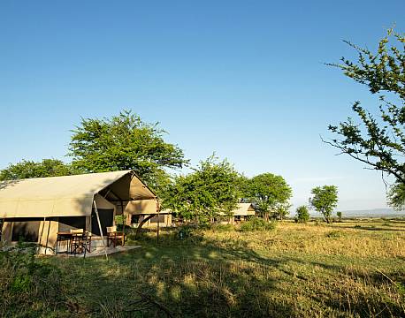 Tarangire Kati Kati Tented Camp tanzania 1 africa tours