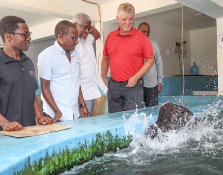 Kenya Tropical Sealife indiske ocean africa tours