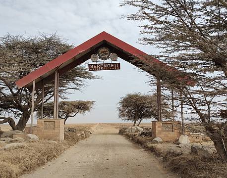 safaripark tanzania africa tours