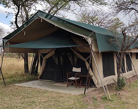 overnatning på savaennen i telt africa tours