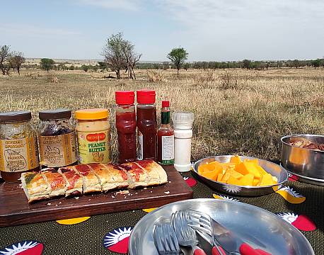 mad på savannen africa tours