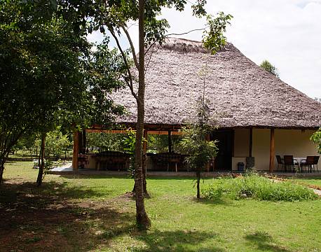 Ishasha Jungle Lodge uganda 1 africa tours