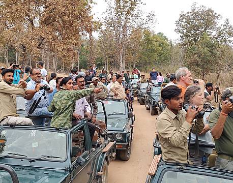 safarigæster i indien africa tours