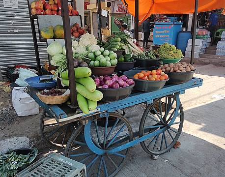 frugtmarked africa tours