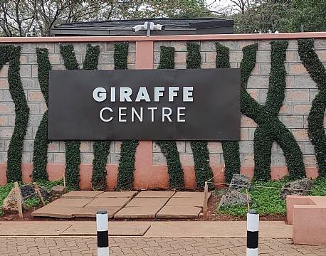 giraffe center africa tours