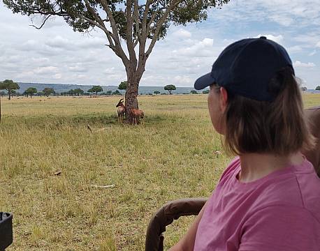 åbne safaribiler safari africa tours