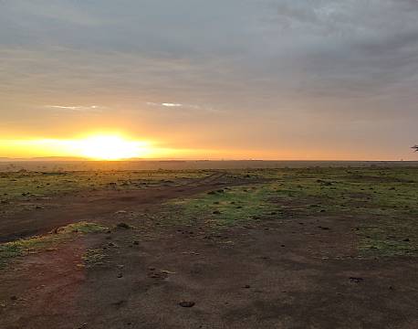 solopgang på savannen africa tours