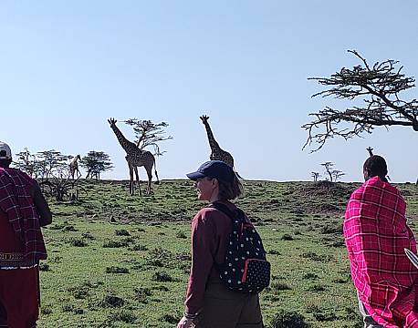 masaier savanne africa tours