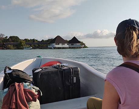 safari bådtur africa tours