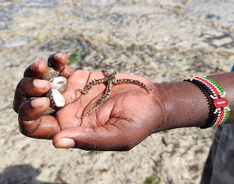 fund på stranden africa tours