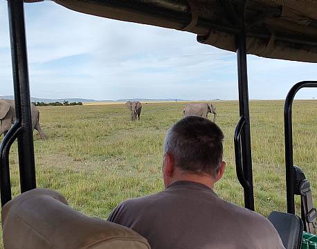 tæt på dyrene åben safari africa tours