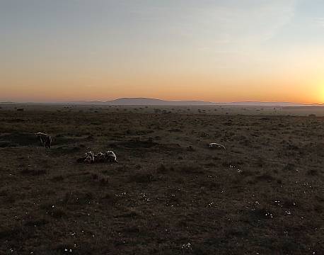 solnedgang over savannen safari africa tours