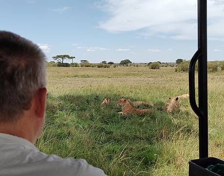 udsigt fra safaribil africa tours