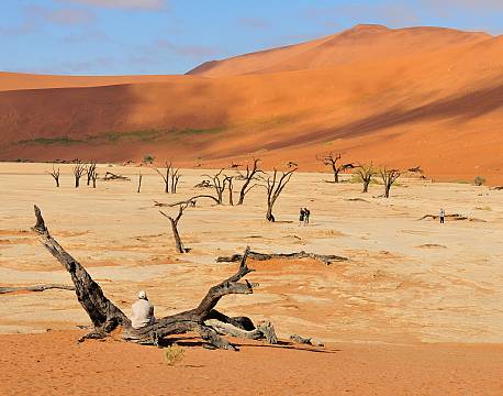 Namibia, Deadvlei og Sossusvlei