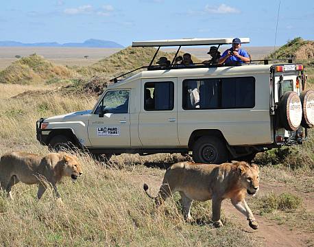 Tanzania, Ngorongoro Krateret