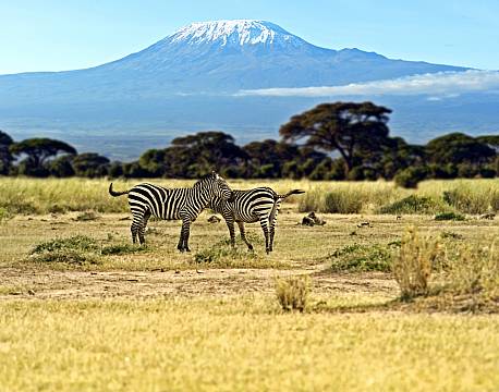 Tanzania, Kilimanjaro
