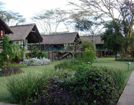 Sweetwaters Serena Camps teltværelser på række kenya 1 africa tours