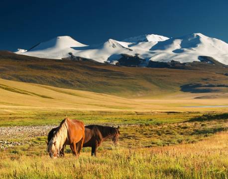 Lesotho sydafrika africa tours