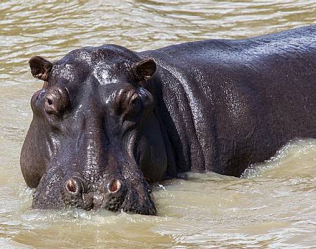 St. Lucia sydafrika africa tours