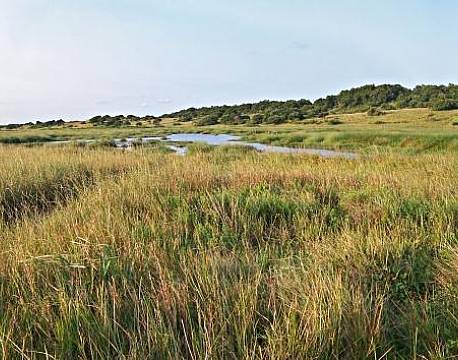 St. Lucia sydafrika africa tours