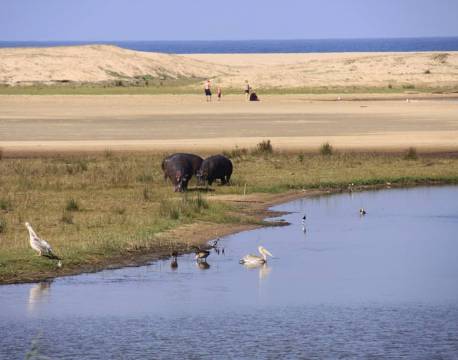 St. Lucia sydafrika africa tours