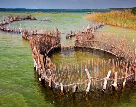 St. Lucia sydafrika africa tours