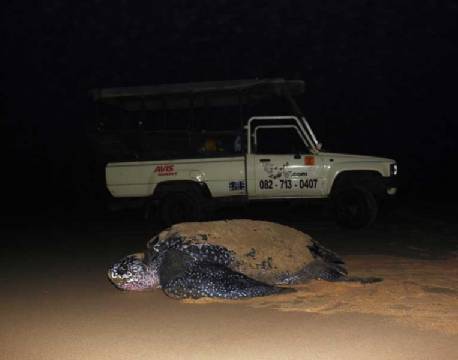 St. Lucia sydafrika africa tours