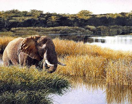 St. Lucia sydafrika africa tours