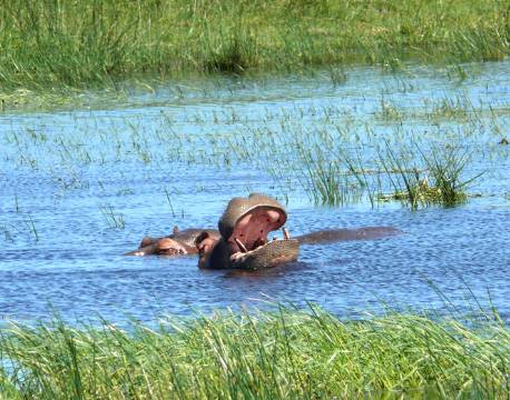 St. Lucia sydafrika africa tours