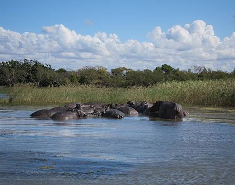 St. Lucia sydafrika africa tours