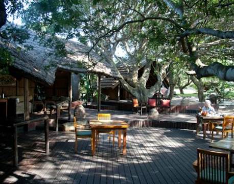  Kosi Forest Lodge sydafrika 3 africa tours