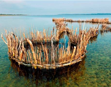  Kosi Forest Lodge sydafrika 6 africa tours