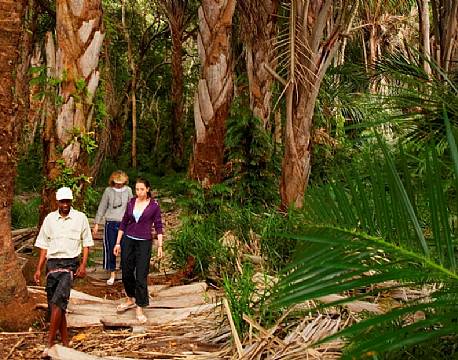  Kosi Forest Lodge sydafrika 9 africa tours