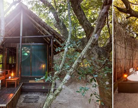  Kosi Forest Lodge sydafrika 1 africa tours