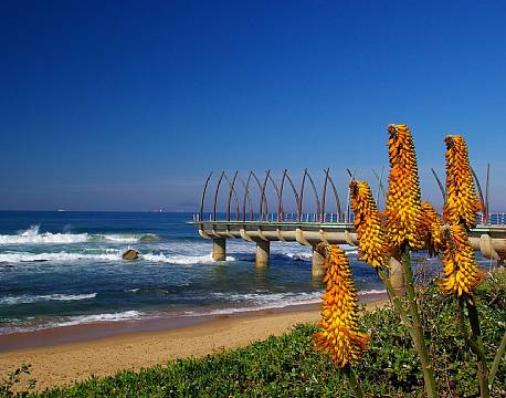 Durban sydafrika africa tours