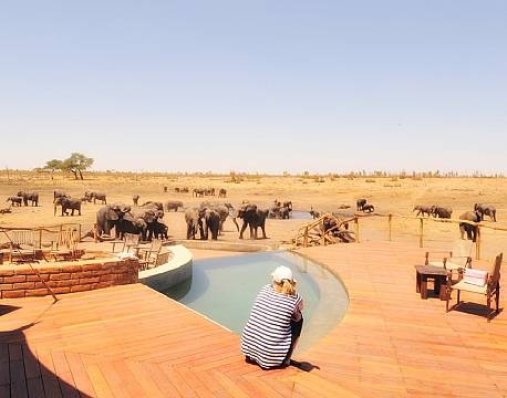 Indkvartering Somalisa Safari Camp Hwange zimbabwe 3 africa tours