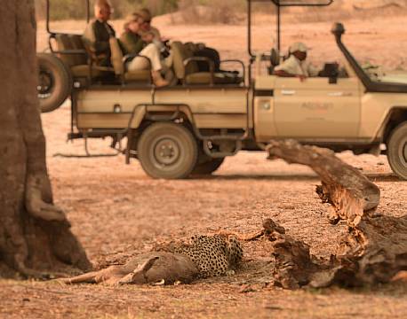 Indkvartering Somalisa Safari Camp Hwange zimbabwe 12 africa tours