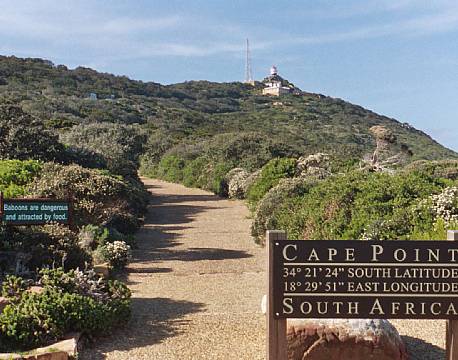 Cape Point/Kap halvøen sydafrika africa tours