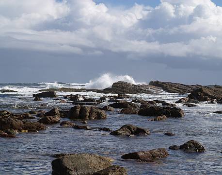 Cape Point/Kap halvøen sydafrika africa tours