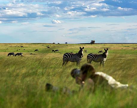 I Karen Blixen området kan vi fotografere dyrene i øjenhøjde