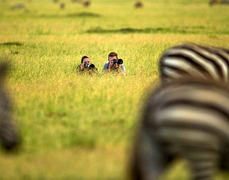Line og Timmy fotograferer zebraer