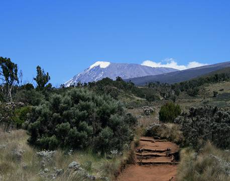 Kilimanjaro landskab, Tanzania africa tours