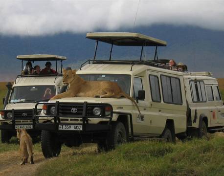 Serengeti Tanzania africa tours
