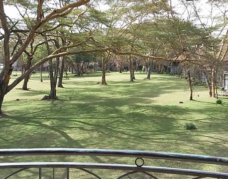 En kig fra et værelse på dejlige Naivasha Sopa Lodge