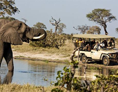 savute botswana africa tours