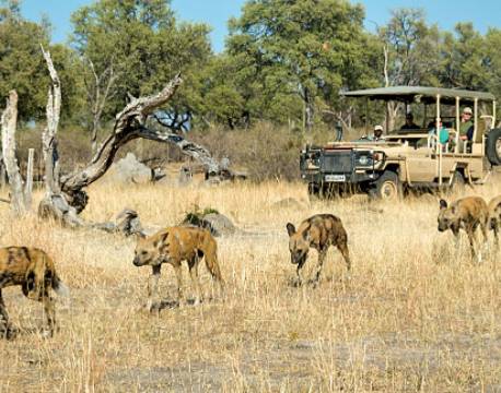 savute botswana africa tours