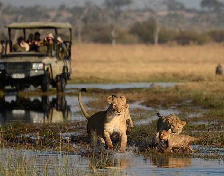 savute botswana africa tours