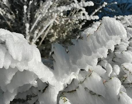 En overraskelse - is om morgenen, det er ikke et hverdagssyn
