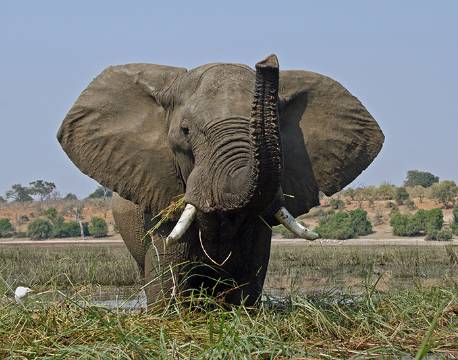Serengeti Tanzania africa tours