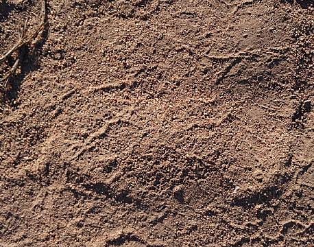 Næsehornsporet følges på vandresafarien 